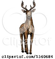 Clipart Of A Sketched Buck Deer Royalty Free Vector Illustration