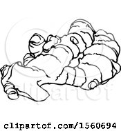 Clipart Of Black And White Ginger Root Royalty Free Vector Illustration