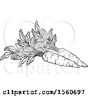 Clipart Of Black And White Carrots Royalty Free Vector Illustration