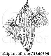 Clipart Of A Black And White Bitter Gourd Royalty Free Vector Illustration