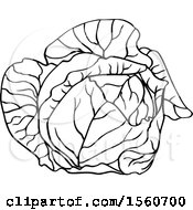 Clipart Of A Black And White Cabbage Royalty Free Vector Illustration