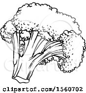 Clipart Of Black And White Broccoli Royalty Free Vector Illustration