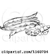 Poster, Art Print Of Black And White Beans And Pods