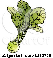 Clipart Of A Kohlrabi Royalty Free Vector Illustration by Lal Perera