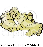 Clipart Of Ginger Root Royalty Free Vector Illustration by Lal Perera