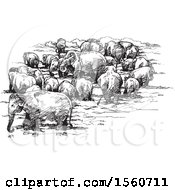 Poster, Art Print Of Sketch Of A Herd Of Elephants