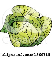 Clipart Of A Cabbage Royalty Free Vector Illustration by Lal Perera