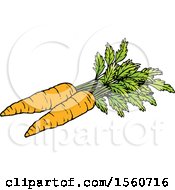Poster, Art Print Of Carrots