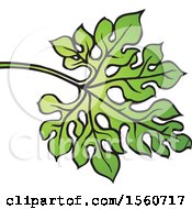 Poster, Art Print Of Bitter Gourd Leaf