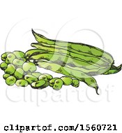 Poster, Art Print Of Beans And Pods