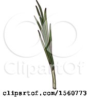 Clipart Of Sketched Green Onions Royalty Free Vector Illustration by Vector Tradition SM