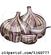 Poster, Art Print Of Sketched Garlic