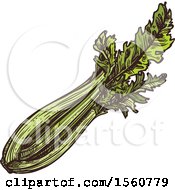 Clipart Of Sketched Celery Royalty Free Vector Illustration