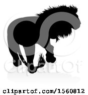 Clipart Of A Silhouetted Male Lion With A Reflection Or Shadow Royalty Free Vector Illustration