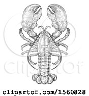 Clipart Of A Retro Black And White Engraved Lobster Royalty Free Vector Illustration
