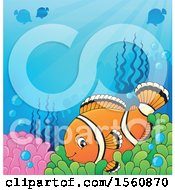 Poster, Art Print Of Clownfish Underwater On An Anemone
