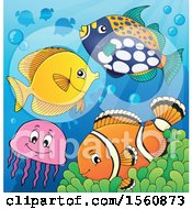 Clipart Of A Group Of Marine Fish Royalty Free Vector Illustration