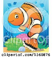 Clipart Of A Clownfish Royalty Free Vector Illustration