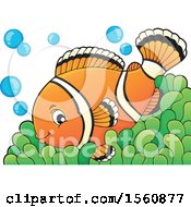 Clipart Of A Clownfish On An Anemone Royalty Free Vector Illustration