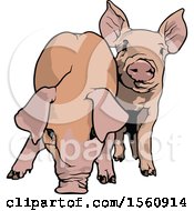 Poster, Art Print Of Pigs