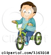 White Toddler Boy Riding A Tricycle