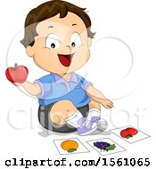 Poster, Art Print Of White Toddler Boy Identifying An Apple