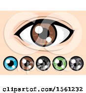 Clipart Of Different Colored Eyes Royalty Free Vector Illustration