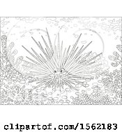 Clipart Of A Lineart Sea Urchin At A Reef Royalty Free Vector Illustration by Alex Bannykh