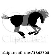 Clipart Of A Silhouetted Horse With A Reflection Or Shadow Royalty Free Vector Illustration