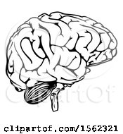 Clipart Of A Black And White Human Brain Royalty Free Vector Illustration