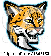 Poster, Art Print Of Margay Cat Mascot Head