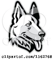 Poster, Art Print Of White German Shepherd Dog Mascot Head