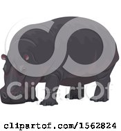 Poster, Art Print Of Hippopotamus
