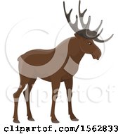 Poster, Art Print Of Moose