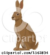 Poster, Art Print Of Alert Brown Bunny Rabbit