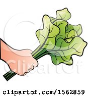 Clipart Of A Hand Holding Radish Leaves Royalty Free Vector Illustration by Lal Perera