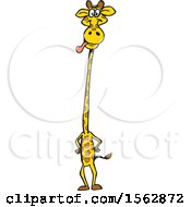 Poster, Art Print Of Cartoon Silly Giraffe With His Tongue Hanging Out