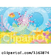 Clipart Of A Happy Crab Fish And Sea Urchin On A Reef Royalty Free Vector Illustration by Alex Bannykh