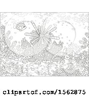 Clipart Of A Lineart Crab Fish And Sea Urchin On A Reef Royalty Free Vector Illustration by Alex Bannykh
