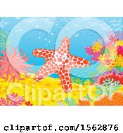 Poster, Art Print Of Happy Starfish On A Reef