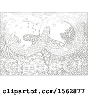 Clipart Of A Lineart Starfish On A Reef Royalty Free Vector Illustration
