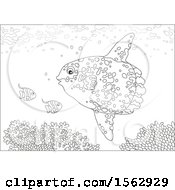 Clipart Of A Lineart Moonfish And Others Over A Reef Royalty Free Vector Illustration