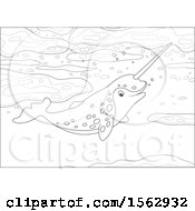 Clipart Of A Lineart Narwhal Swimming Royalty Free Vector Illustration