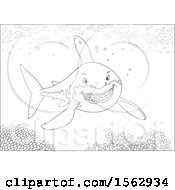 Clipart Of A Lineart Great White Shark Over A Reef Royalty Free Vector Illustration