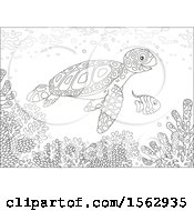 Poster, Art Print Of Lineart Sea Turtle And Fish Over A Reef