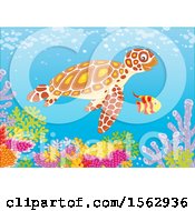 Clipart Of A Cute Sea Turtle And Fish Over A Reef Royalty Free Vector Illustration by Alex Bannykh