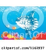 Clipart Of A Moonfish And Others Over A Reef Royalty Free Vector Illustration
