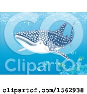 Poster, Art Print Of Whale Shark And Fish Over A Reef