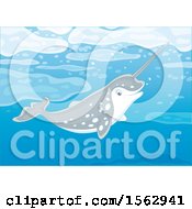 Clipart Of A Cute Narwhal Swimming Royalty Free Vector Illustration by Alex Bannykh