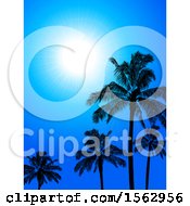 Poster, Art Print Of Sunny Blue Sky With Silhouetted Palm Trees